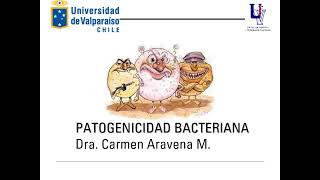 Patogenicidad bacteriana versión 2022 [upl. by Richma]