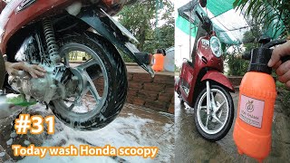 033 How to wash honda Scoopy  howtowash cyclewash washing motorcycle [upl. by Elurd946]