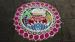 Easy Sankranthi Muggulu🌹5x3 dots Pongal 2023 Kolam🌹Sankranthi Rangoli🌹Pongal Pot Rangoli Designs [upl. by Aynnat]