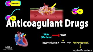 Pharmacology Anticoagulants Animation [upl. by Rovner]