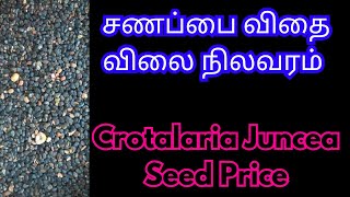 சணப்பை விதை  Crotalaria Juncea Seed Price  Sanapai Seed Price  Sanapai Cultivation  Tirumangalam [upl. by Xanthe]