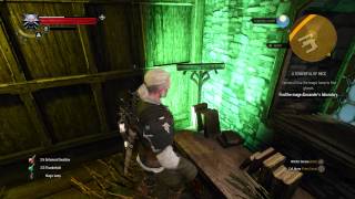 The Witcher 3  A Towerful of Mice Keira Chat quotFind Mage Alexanders Libraryquot Secret Door Location [upl. by Omari993]