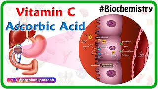 THE ORDINARY 100 L ASCORBIC ACID  HOW TO USE PURE VITAMIN C [upl. by Guenna]