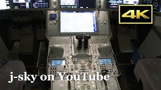 4K Airbus A350 XWB Landing Cockpit Closeup at Tokyo Haneda Airport  エアバスA350 JAL 羽田空港 [upl. by Cyndie208]