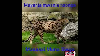 Mayanja songs mayanja mwera mukira Omulongo mayanjaomumbejja Joan Nassolo Tebatagwabwe lubaale [upl. by Melissa]