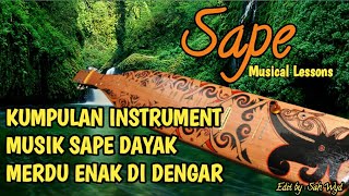 SAPE INSTRUMENT MUSIK DAYAK MERDU ENAK DI DENGAR [upl. by Esinyl]