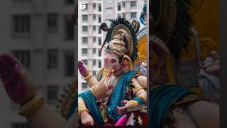 Tardeo cha raja mumbaitardeo [upl. by Opal879]