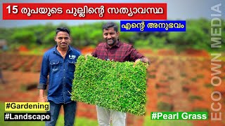 ഇതാണ് 15 രൂപക്ക് കൊടുക്കുന്ന Peral grass ന്റെ സത്യാവസ്ഥ  Peral grass  lower price  landscape [upl. by Nosreg]