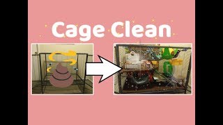 How I Clean my Rat’s Critter Nation Cage [upl. by Casta8]