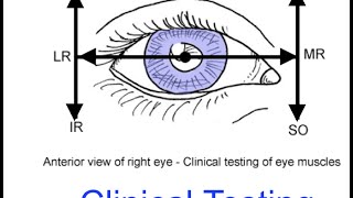 Clinical testing extraocular muscles tutorial [upl. by Ainet293]