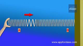 Longitudinal Wave [upl. by Ennovahs979]