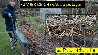 Utilisation du fumier de cheval frais au potager [upl. by Nnyltiac]