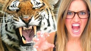 IM A TIGER  iJustine [upl. by Seth]