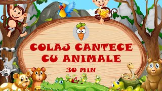 30 Minute Colaj Cantece cu Animale  Cantece pentru Copii  Desene Animate [upl. by Trebla]