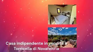 VideotagliatoCasa indipendente in vendita a Torricella Novafeltria con voce fuori campov1 [upl. by Annayat]