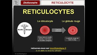 RETICULOCYTES  Elément du bilan sanguin  Que sont les réticulocytes pourquoi les doser [upl. by Yeliah]