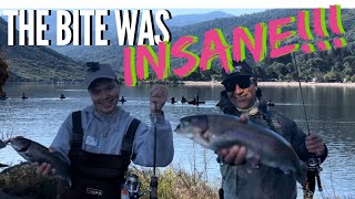 WIDE OPEN Bite  So Cal Trout Fishing with Mini Jigs amp Spoons [upl. by Schuman]