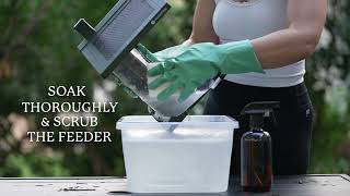 How to Clean Your FeatherSnap Bird Feeder [upl. by Ankney]