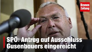 SPÖ Antrag auf Ausschluss Gusenbauers eingereicht  kronetv NEWS [upl. by Jehias]