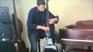 NBDEUB Electric upright bass  test [upl. by Chandal188]