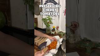 Cherry Tomatoes August Preserving Week 1 Day 3 everybitcountschallenge vegetablegarden [upl. by Arahd50]