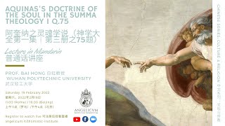 阿奎纳之灵魂学说（神学大全第一集｜第三册之75题） Aquinas’s Doctrine of the Soul in the Summa Theologiae I q75 [upl. by Studdard]