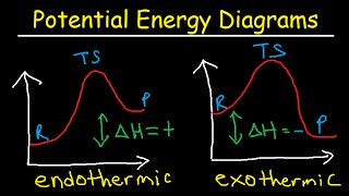 Potential Energy Diagrams  Chemistry  Catalyst Endothermic amp Exothermic Reactions [upl. by Ettennat343]