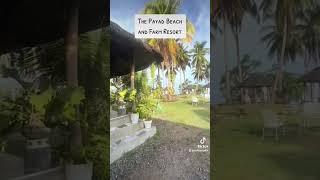 The Payad Beach and Farm Resort reels shorts shortvideo beach beachlife beach fypシ fyp [upl. by Ellennaj]