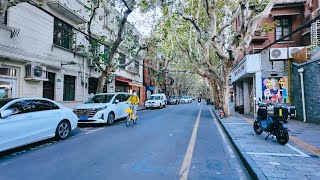 Shaoxing Road Huangpu Shanghai【4K】WarningAudio problem [upl. by Pahl]