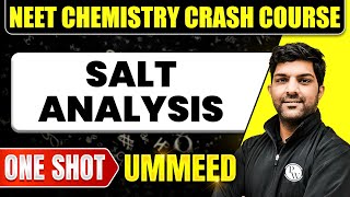 SALT ANALYSIS in 1 Shot  All Concepts Tricks amp PYQs  NEET Crash Course  Ummeed [upl. by Normalie]