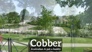 How to Say Cobber in English  What is Cobber  How Does Cobber Look [upl. by Ehctav193]