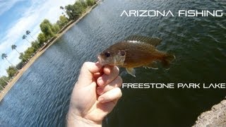 Arizona Fishing Freestone Park Lake [upl. by Aznarepse]