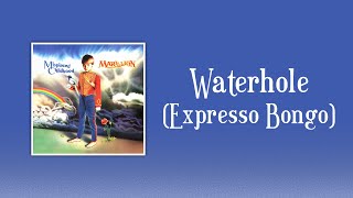 Marillion  Waterhole Expresso Bongo sanoitukset [upl. by Ailhat]