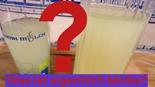 Wieso Du regelmäßig Molke trinken solltest um gesund zu bleiben [upl. by Anurb936]