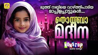 Thoyba Madheena  Nonstop Madh Song Audio Jukebox  Mappilapattukal Malayalam [upl. by Eelaras]