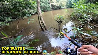 Awalnya Ngeri Mancing Disini Tiba² Dapat Sambaran Besar Di Sungai Dalam Hutan  casting hampala [upl. by Celestyna657]