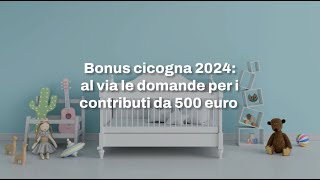 Bonus cicogna 2024 al via le domande per i contributi INPS da 500 euro [upl. by Thomajan]