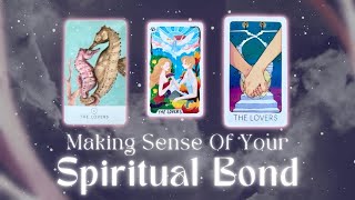 What’s Up with You amp Your Divine Counterpart❤️‍🔥❤️‍🩹 Pick a Card Timeless Tarot Reading [upl. by Andreas]