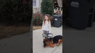 Will an Aggressive German Shepherd Listen to a 5 Year Old [upl. by Cy]