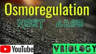 Osmoregulation  XI BIOLOGY  CBSE  NEET  Vinay Biology [upl. by Nelrac]