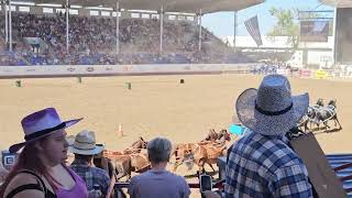 Greeley Stampede Rodeo 2024 [upl. by Bohs]