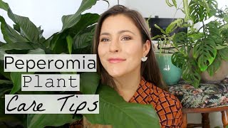 Peperomia Plant Care Tips amp Tricks  Peperomia Houseplant Care [upl. by Geraldina]