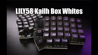 LILY58 Split Keyboard Kailh Box White Clicky Switches Sound Test [upl. by Biancha469]