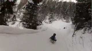 Toboggan run in Neustift im Stubaital [upl. by Nosilla647]