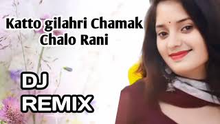 Katto gilahri Chamak Chalo Rani Dj Remix Song 2021  Old Dj Hindi Mix Song  Dj Raju Allahabad [upl. by Onitnelav]