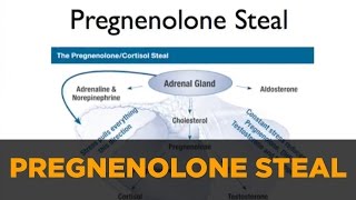 Optimizing Hormones Pregnenolone Steal DHEA amp Cortisol [upl. by Stag]