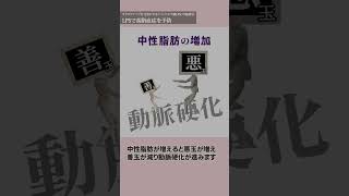 よくわかる免疫ビタミンLPS（リポポリサッカライド）解説動画】 『 LPSで高脂血症を予防 』 [upl. by Econah]