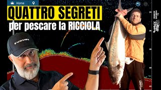 Traina RICCIOLE 4 segreti per pescarle [upl. by Pulchi]