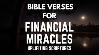 Trusting in Gods Provision Bible Verses for Financial Miracles [upl. by Aicirtel]