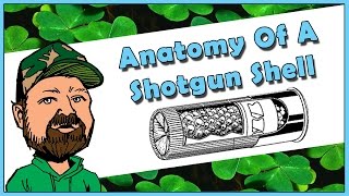 A Look At Shotgun Shot Shells  Components amp Function  Hull Primer Powder Shot Wad amp Lead Shot [upl. by Ardnosal]